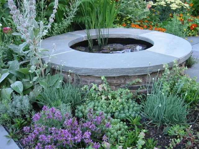 Professional lawn care service in La Mesa, CA - Beaudry Garden Design