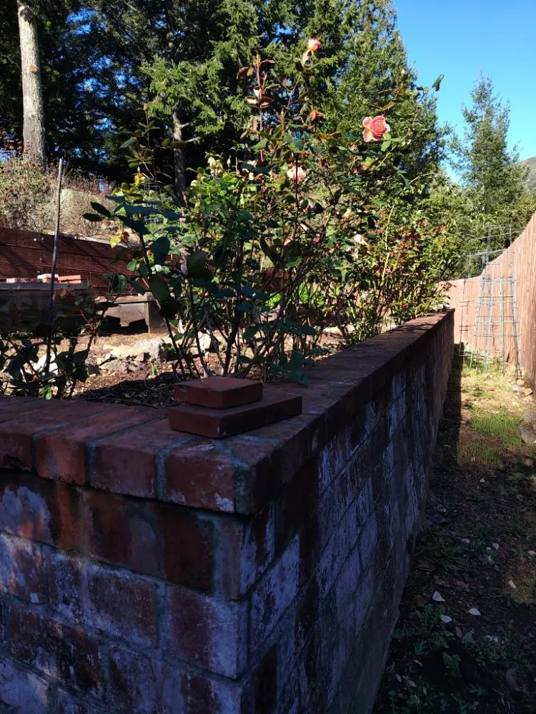 Professional yard cleanup service in Lagunitas, CA - Beaumont Builders and Landscapes
