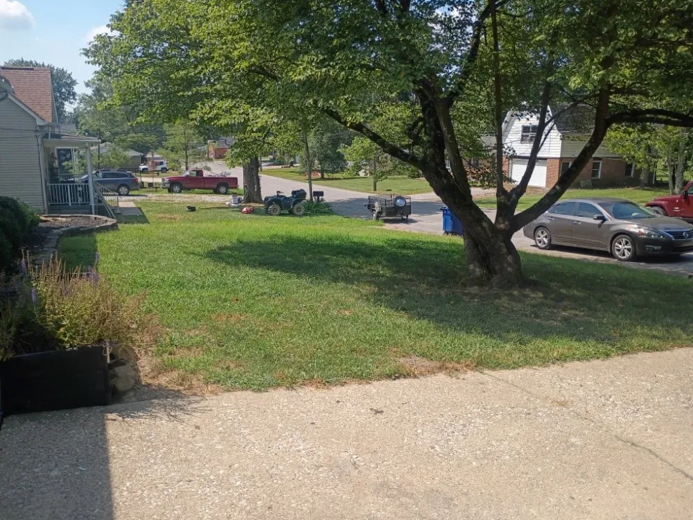 Professional landscape design for outdoor upgrades in Newburgh, IN by Beau's Landscaping