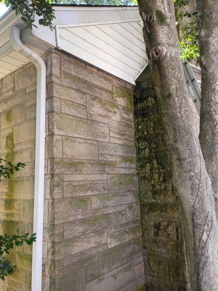 Top-rated landscape design experts serving Newburgh, IN - Beau's Landscaping