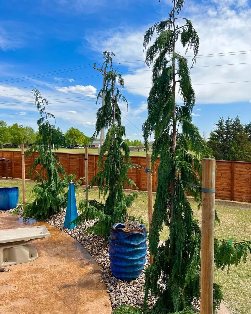 Expert landscape design for homes across Oklahoma City, OK - Beau’s Landscaping