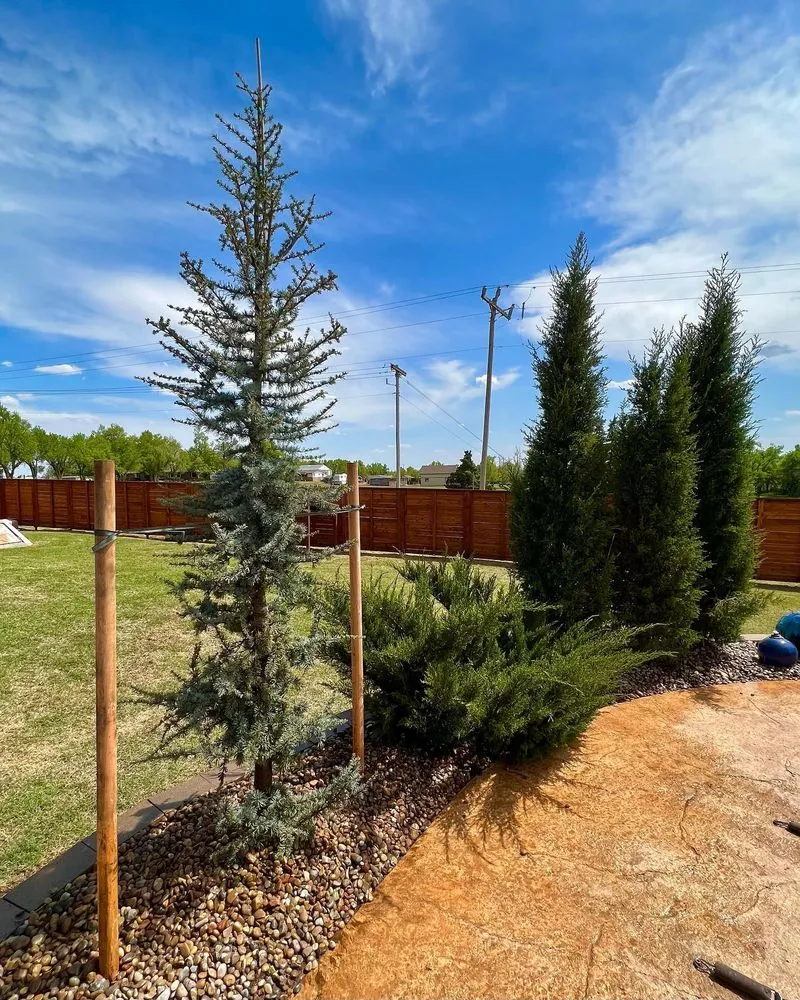Affordable landscaping services experts serving Oklahoma City, OK - Beau’s Landscaping