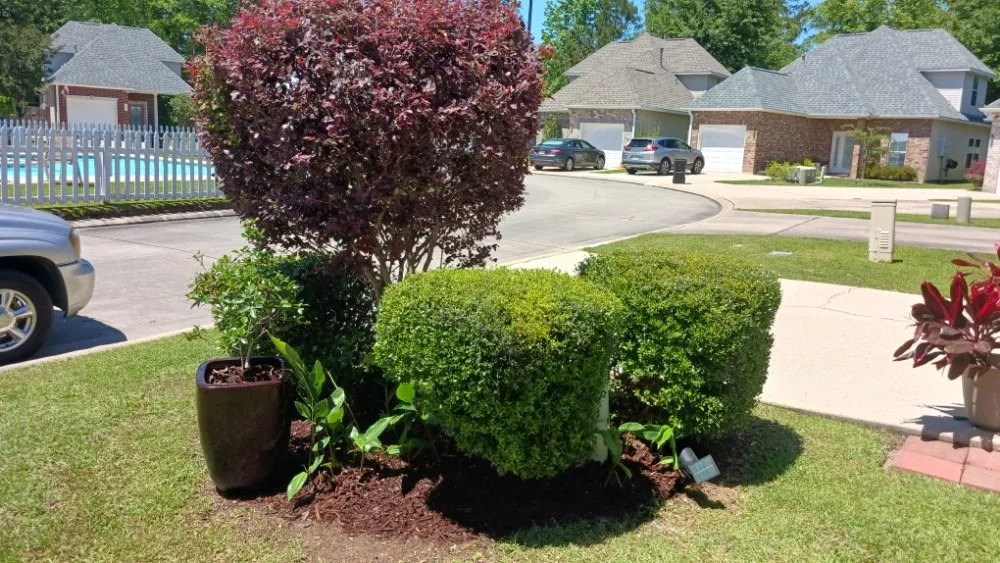 Local landscaping services experts serving Mandeville, LA - Beautification By Tammy