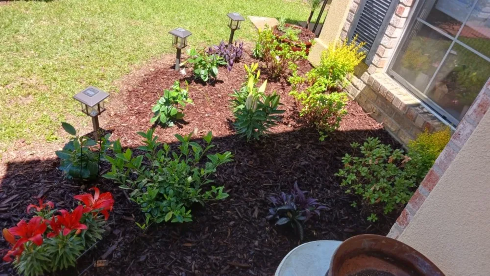 Reliable lawn care service for homes in Mandeville, LA by Beautification By Tammy