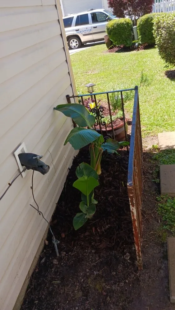 Trusted residential landscaping experts serving Mandeville, LA - Beautification By Tammy