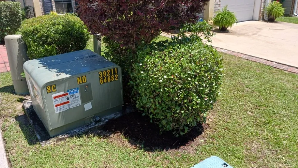 Professional yard cleanup service for beautiful yards in Mandeville, LA by Beautification By Tammy