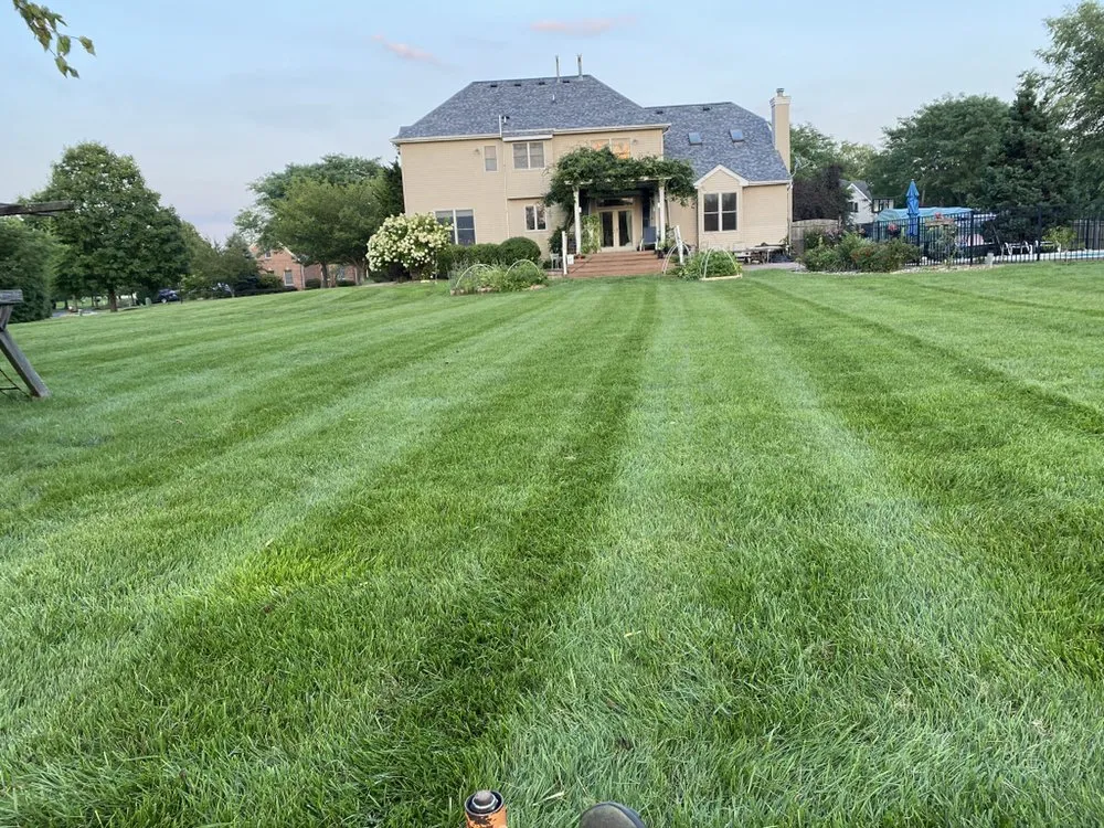 Professional lawn care service experts serving Willingboro, NJ - Beautified Landscaping