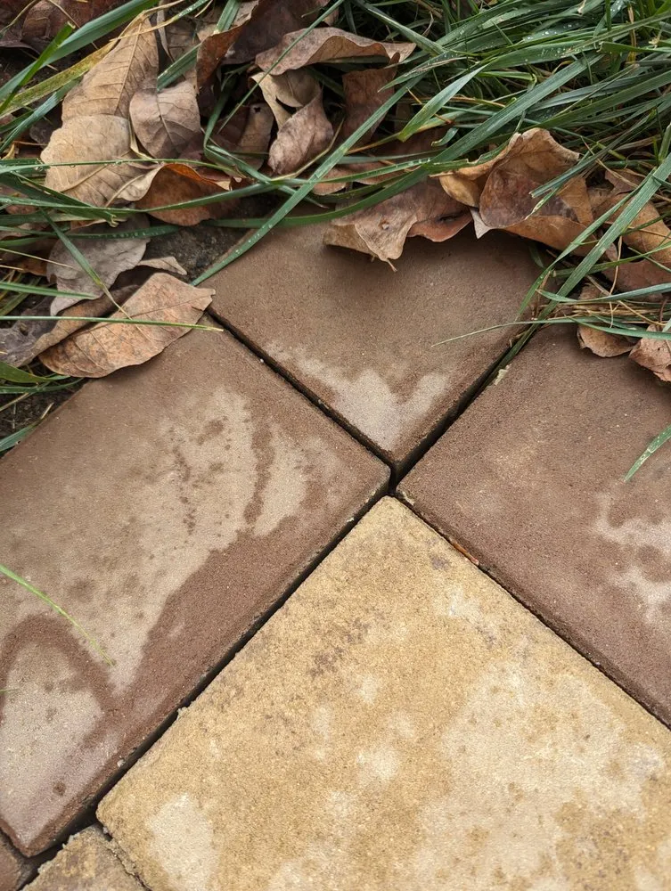 Expert landscape design for year-round maintenance in Willingboro, NJ by Beautified Landscaping