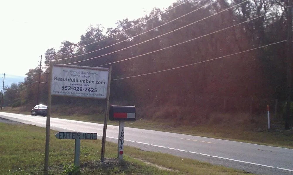 Expert landscape installation experts serving Groveland, FL - Beautiful Bamboo