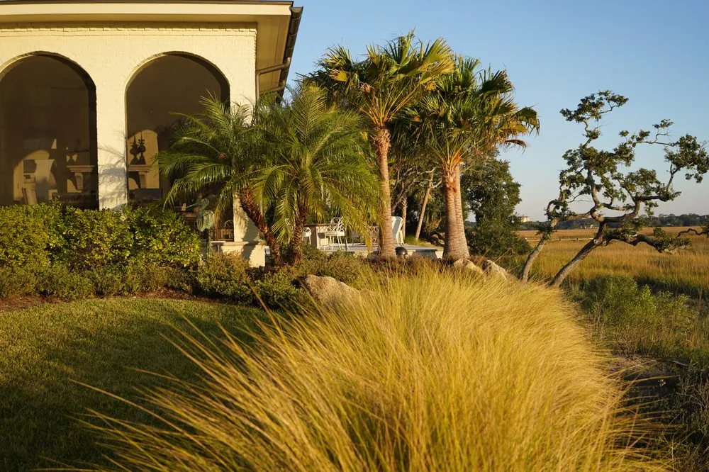 Affordable yard cleanup service in Jacksonville, FL by Beautiful Blooms Landscaping