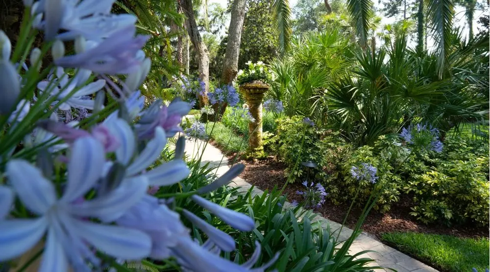Reliable landscape design near you in Jacksonville, FL by Beautiful Blooms Landscaping