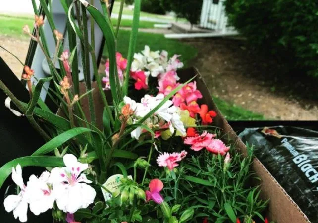Professional residential landscaping near you in Rochester, NY by Beautiful Botanicals