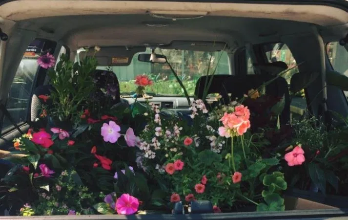 Local outdoor landscaping for year-round maintenance across Rochester, NY - Beautiful Botanicals