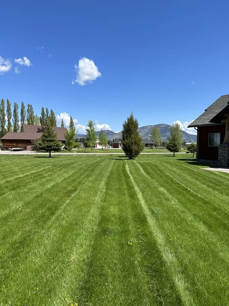 Top-rated landscape design for residential properties across Bellingham, WA - Beautiful Buzz Lawn Care