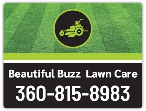 Affordable lawn mowing service in Bellingham, WA - Beautiful Buzz Lawn Care