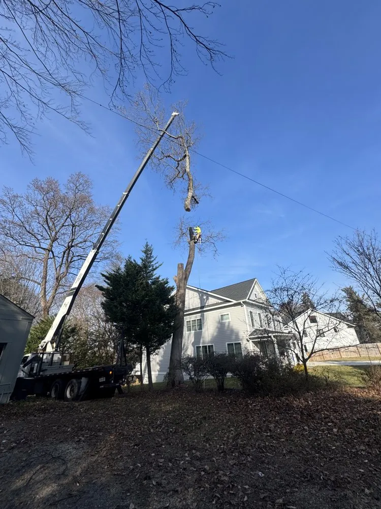 Affordable outdoor landscaping near you across Gaithersburg, MD - Beautiful Country Tree Service