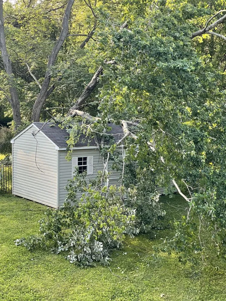 Custom yard maintenance in Gaithersburg, MD - Beautiful Country Tree Service