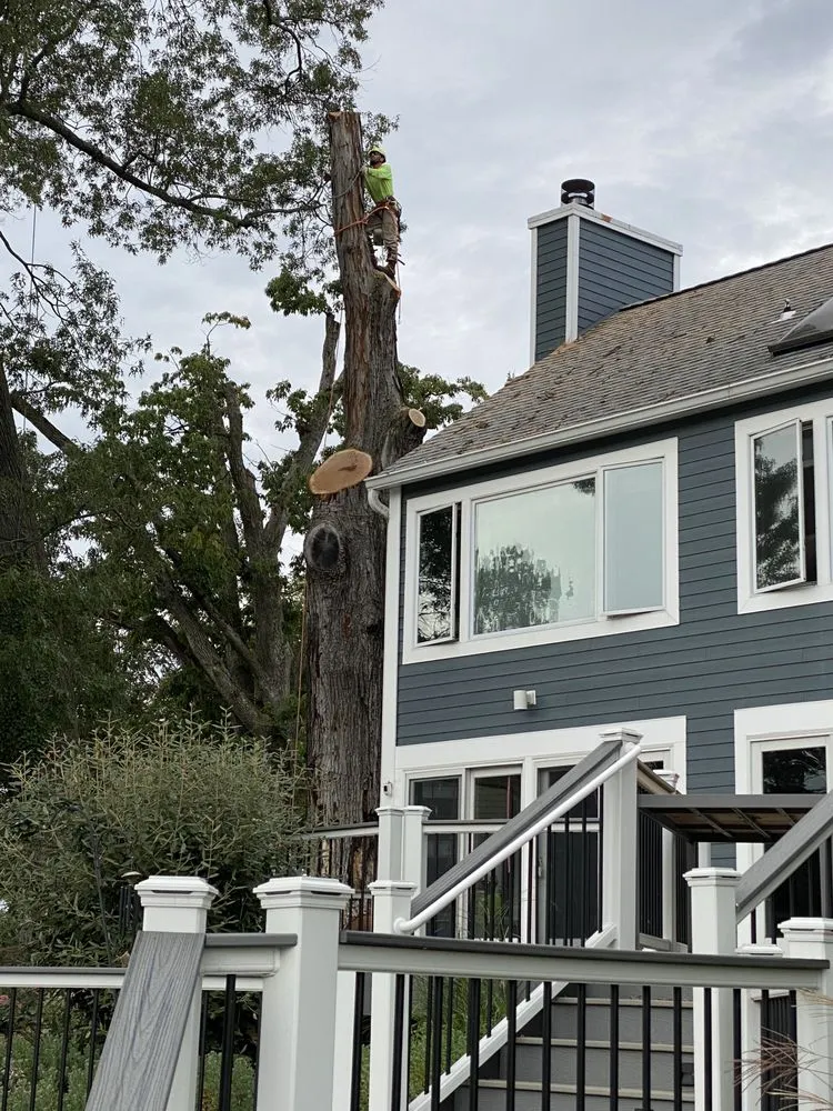 Affordable landscaping services in Gaithersburg, MD - Beautiful Country Tree Service