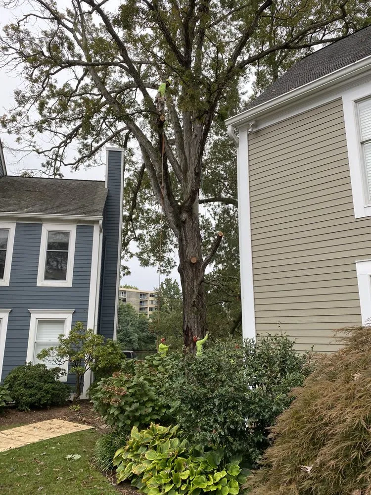 Reliable landscape installation in Gaithersburg, MD - Beautiful Country Tree Service