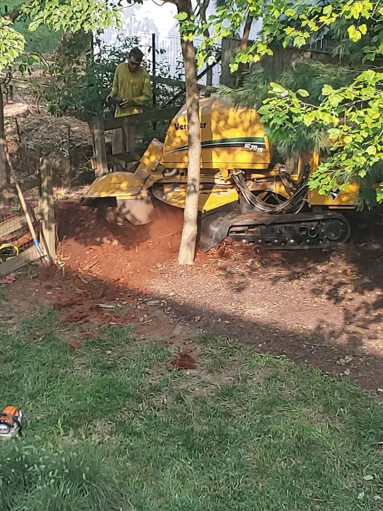 Local outdoor landscaping near you in Gaithersburg, MD by Beautiful Country Tree Service