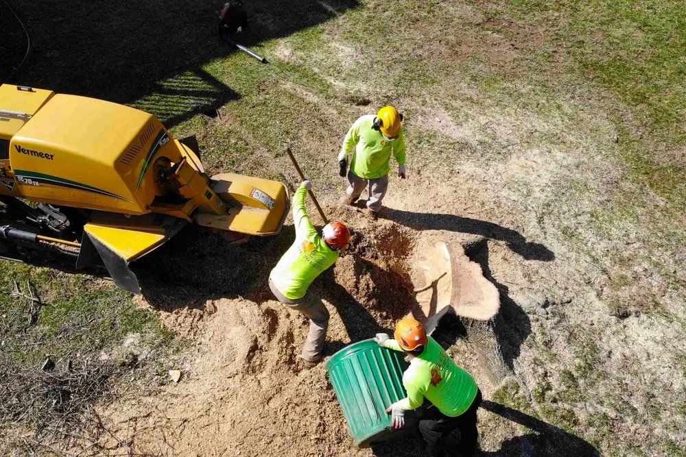 Professional landscape installation for residential properties across Gaithersburg, MD - Beautiful Country Tree Service