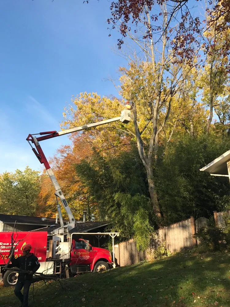 Local outdoor landscaping for beautiful yards across Gaithersburg, MD - Beautiful Country Tree Service