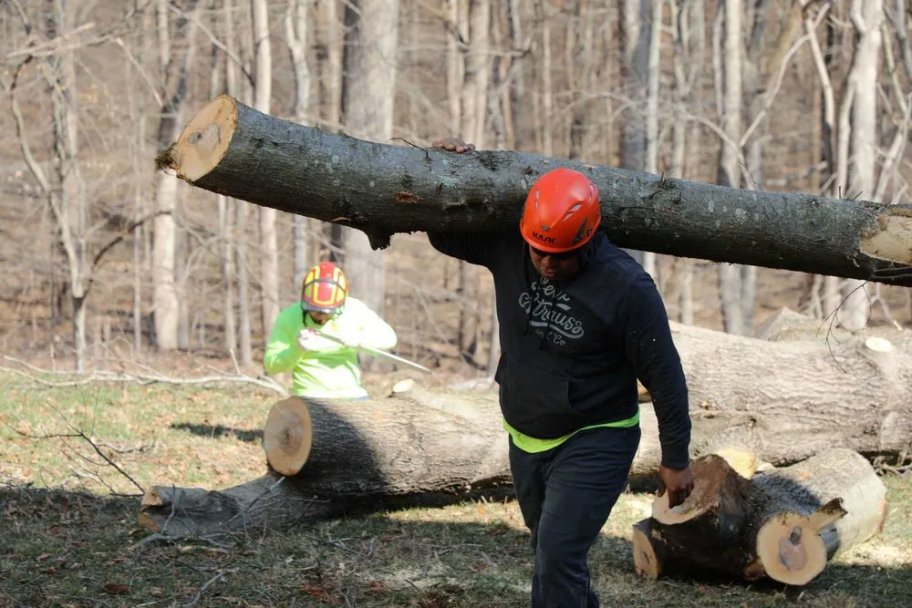 Reliable lawn care service for year-round maintenance in Gaithersburg, MD by Beautiful Country Tree Service