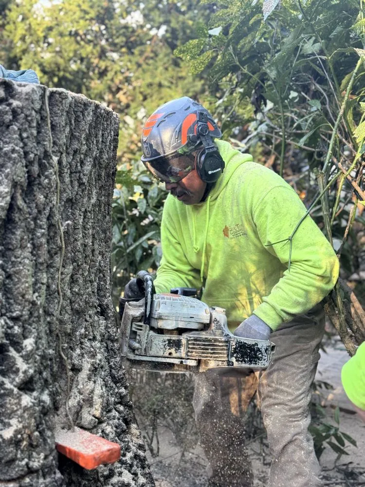 Top-rated yard maintenance for beautiful yards in Gaithersburg, MD by Beautiful Country Tree Service