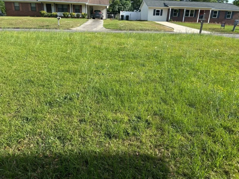 Custom landscape design in Columbus, GA - Beautiful Creations & Lawn Care