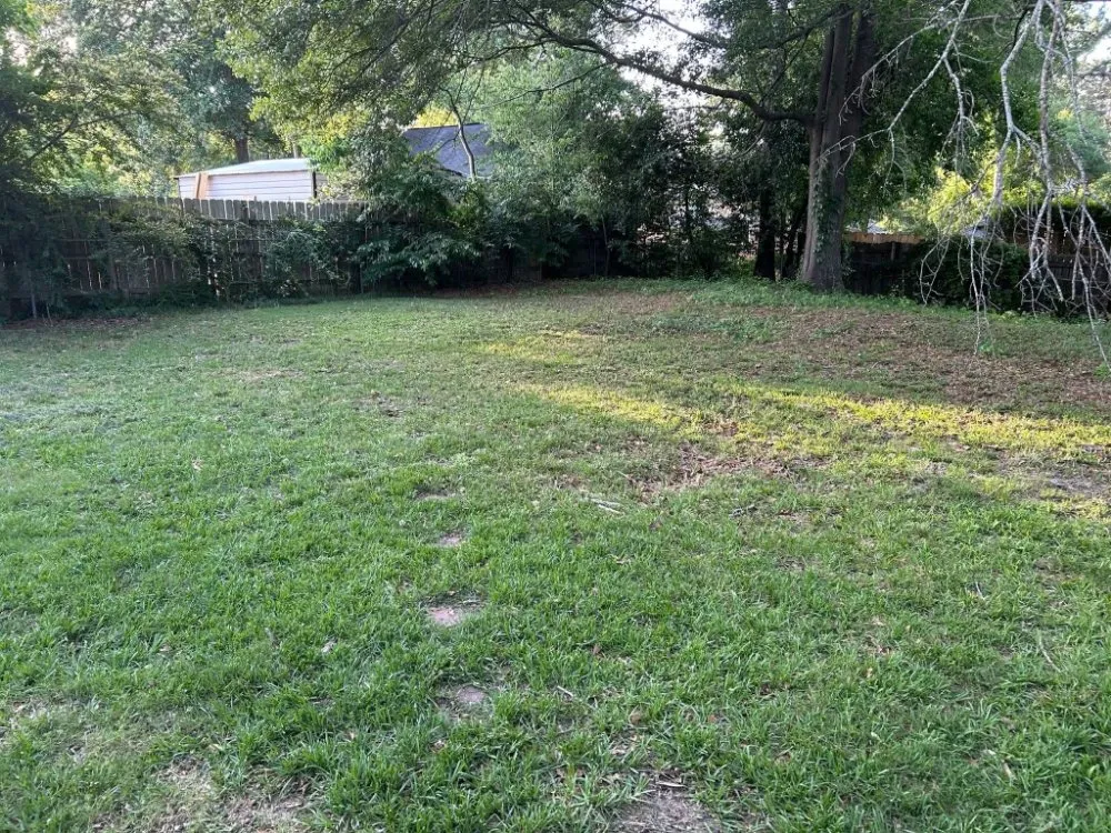 Custom yard cleanup service for year-round maintenance in Columbus, GA by Beautiful Creations & Lawn Care