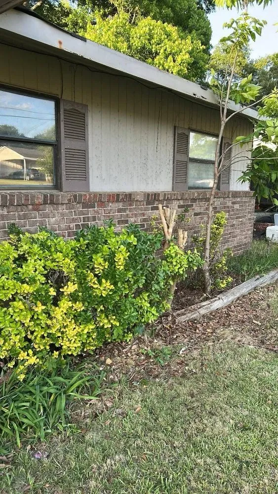 Affordable yard cleanup service experts serving Columbus, GA - Beautiful Creations & Lawn Care