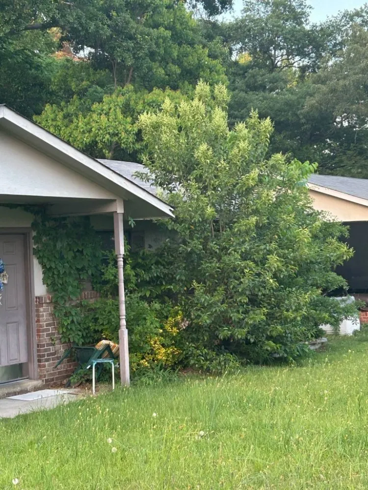 Custom lawn care service near you across Columbus, GA - Beautiful Creations & Lawn Care