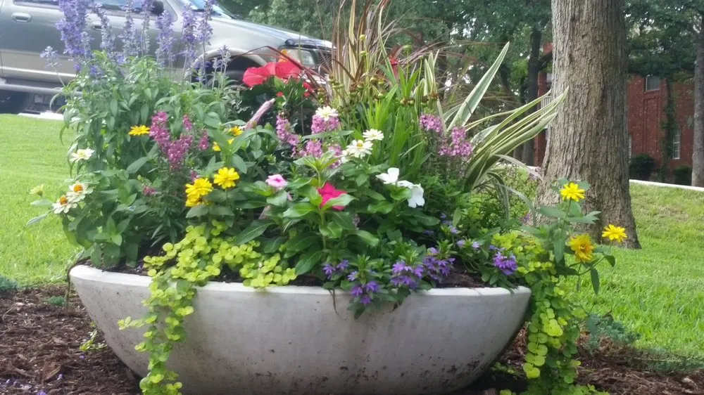 Local yard cleanup service near you across Lewisville, TX - Beautiful Exteriors