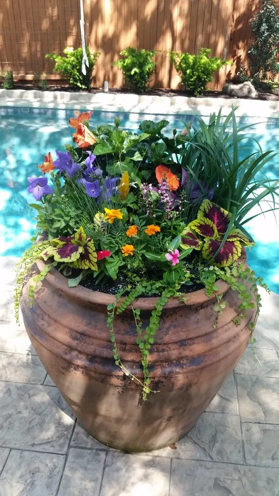 Reliable outdoor landscaping experts serving Lewisville, TX - Beautiful Exteriors