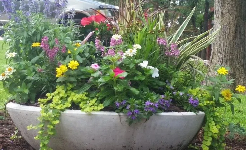 Local garden landscaping experts serving Lewisville, TX - Beautiful Exteriors