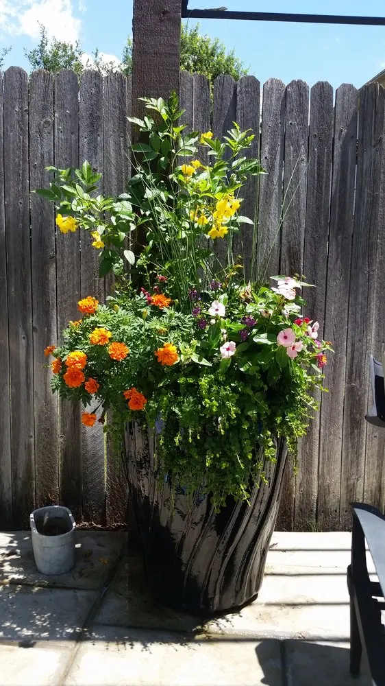 Affordable outdoor landscaping in Lewisville, TX - Beautiful Exteriors