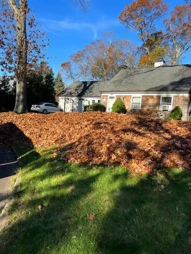 Custom landscaping services experts serving Hampton Bays, NY - Beautiful Field