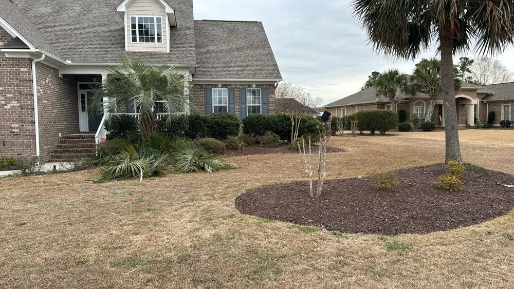 Reliable residential landscaping in Wilmington, NC by Beautiful Flower
