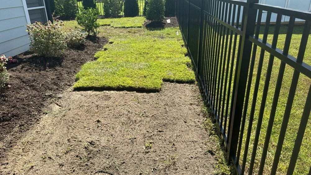 Top-rated landscape design experts serving Wilmington, NC - Beautiful Flower