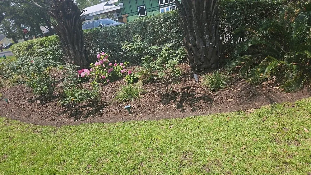 Reliable landscape installation with custom design across Wilmington, NC - Beautiful Flower