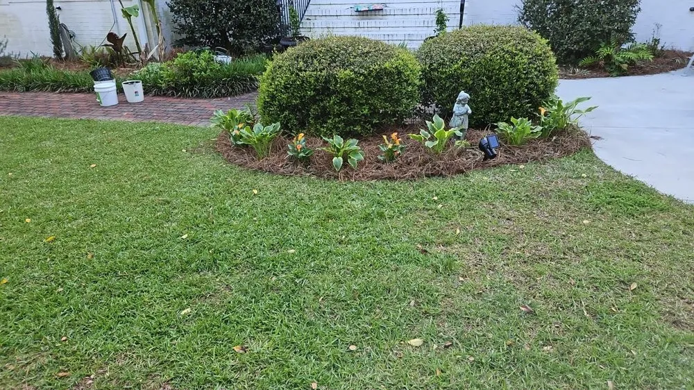 Professional garden landscaping for beautiful yards across Wilmington, NC - Beautiful Flower