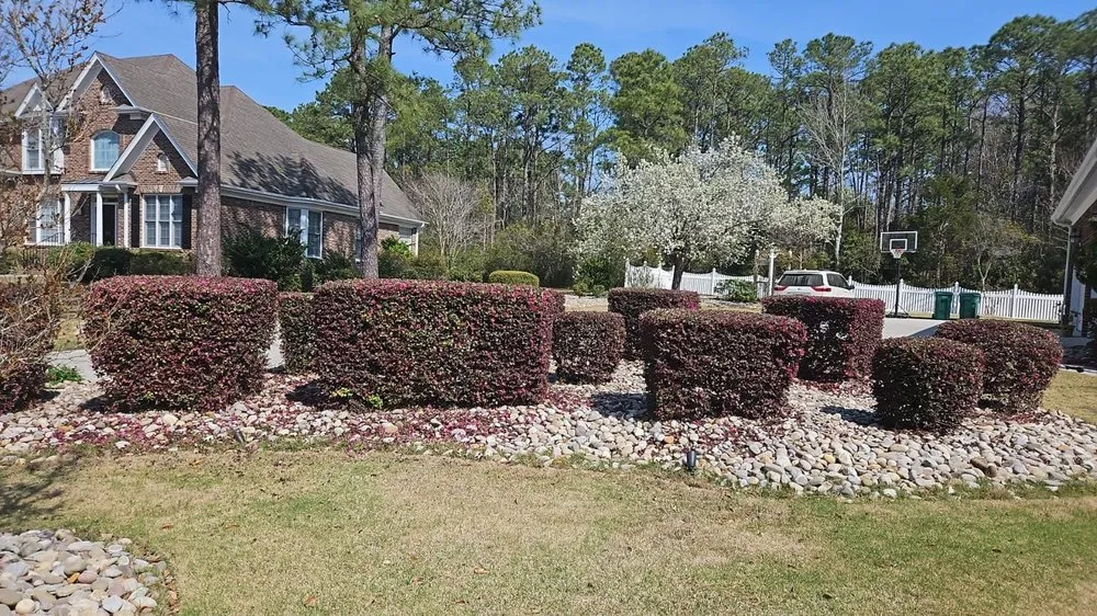 Expert landscape installation for homes in Wilmington, NC by Beautiful Flower