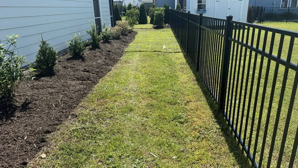 Affordable yard cleanup service in Wilmington, NC by Beautiful Flower