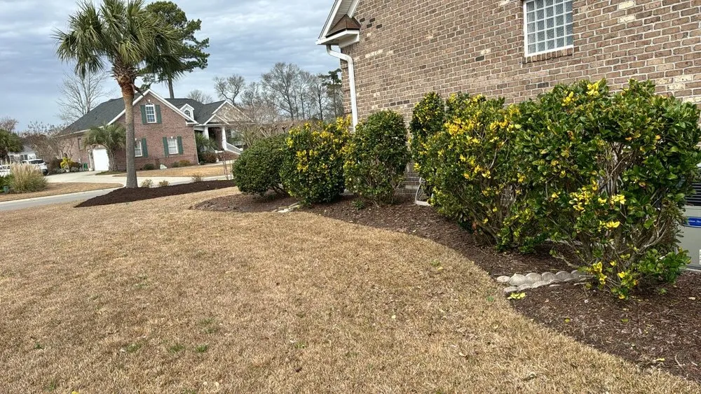 Top-rated lawn mowing service for homes across Wilmington, NC - Beautiful Flower