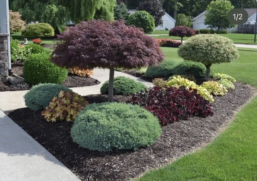 Affordable landscaping services experts serving St. Cloud, FL - Beautiful Garden & Lawn