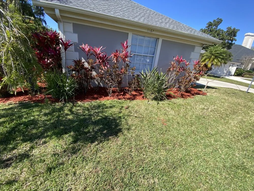 Trusted yard cleanup service for year-round maintenance across St. Cloud, FL - Beautiful Garden & Lawn