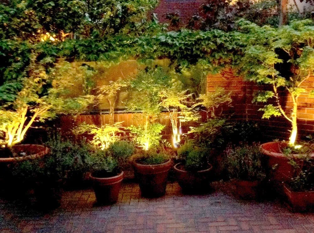 Trusted lawn care service experts serving San Francisco, CA - Beautiful Garden Lighting