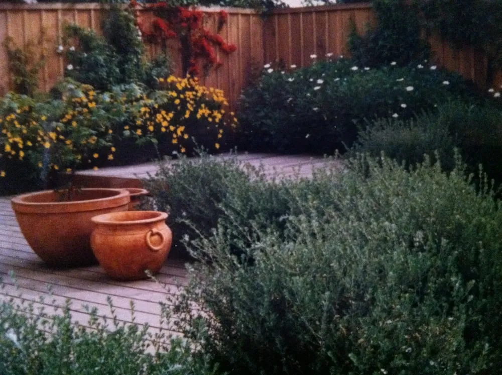Custom yard maintenance for outdoor upgrades across San Francisco, CA - Beautiful Garden Lighting