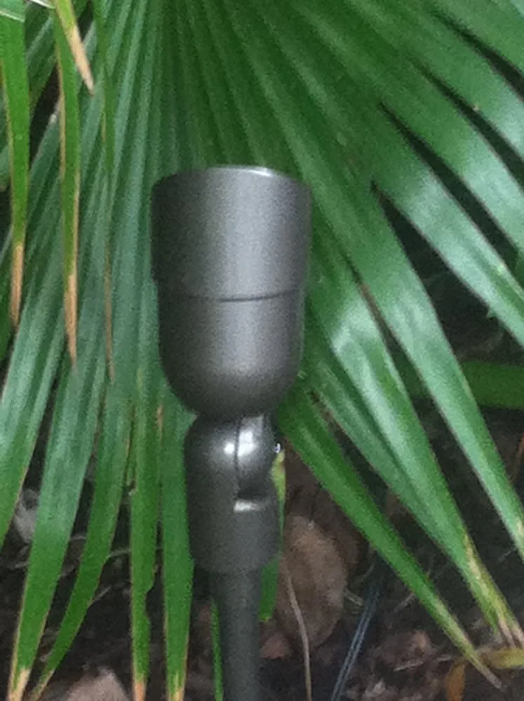 Trusted yard maintenance experts serving San Francisco, CA - Beautiful Garden Lighting