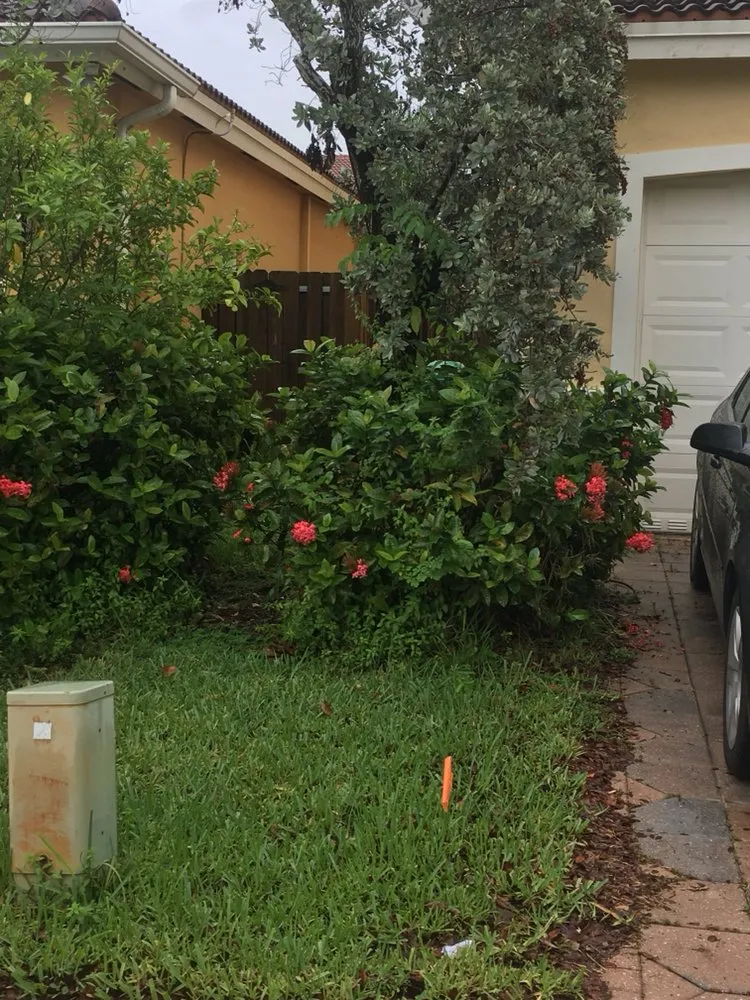 Expert landscape installation with custom design in Miami, FL by Beautiful Gardens and Lawn Care